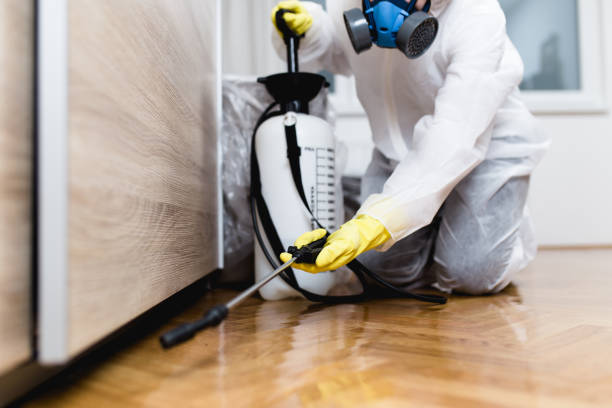 Best Pest Removal Services  in Hawi, HI