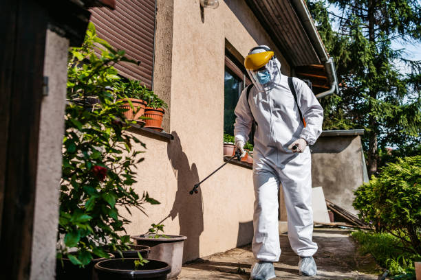 Best Commercial Pest Control Services  in Hawi, HI